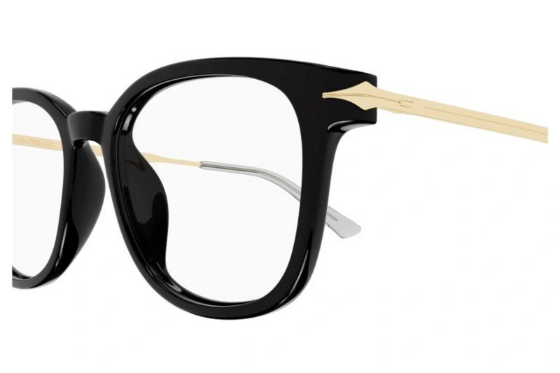 Mont Blanc Frame MB0309OA 001