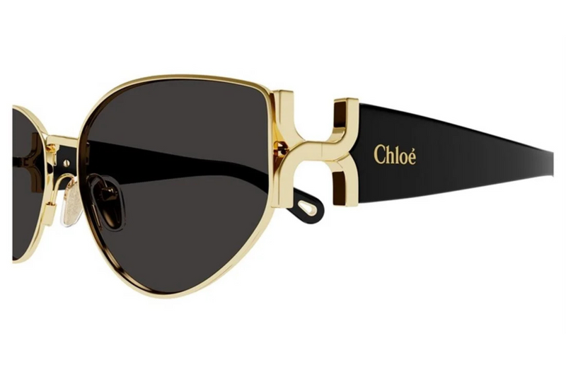 Chloé Sunglasses CH0260S 001