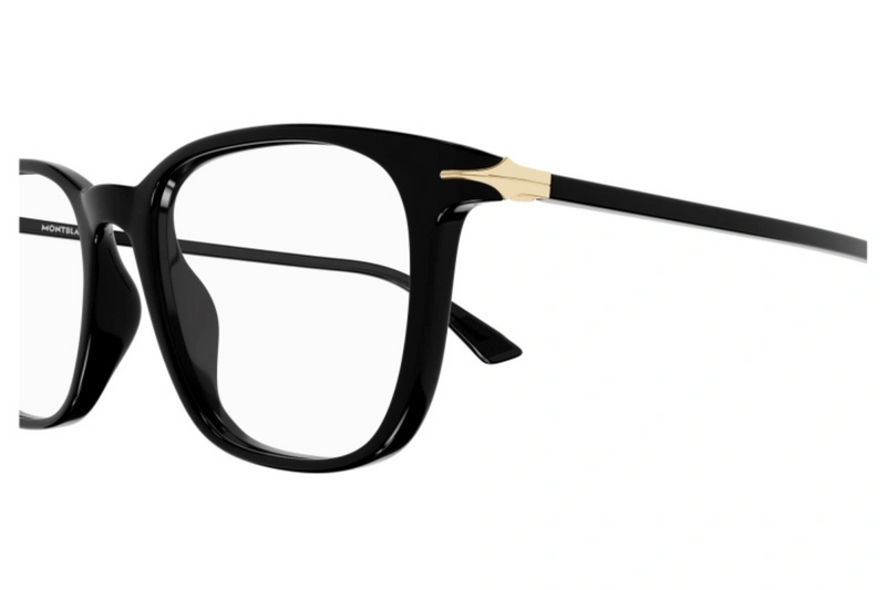 Mont Blanc Frame MB0338O