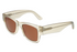 Scott Sunglasses SC3137 Rocco