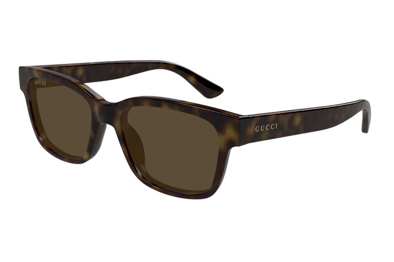 Gucci Sunglasses GG1716S