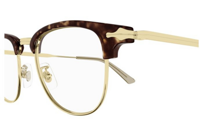 Mont Blanc Frame MB0364O