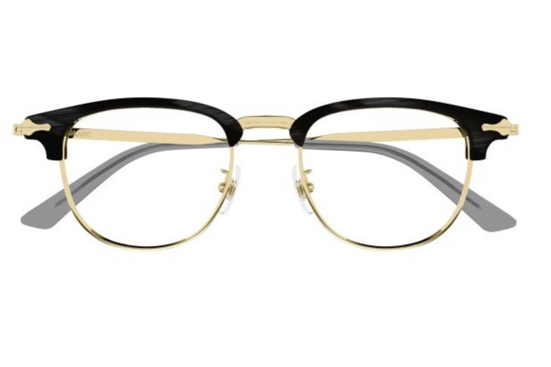 Mont Blanc Frame MB0364O