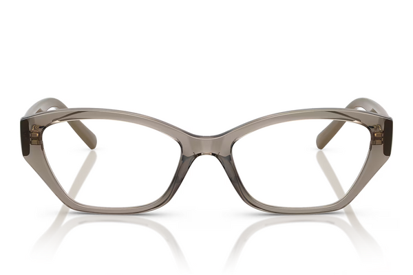 Vogue Frame VO5608