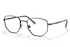 Vogue Frame VO 4221