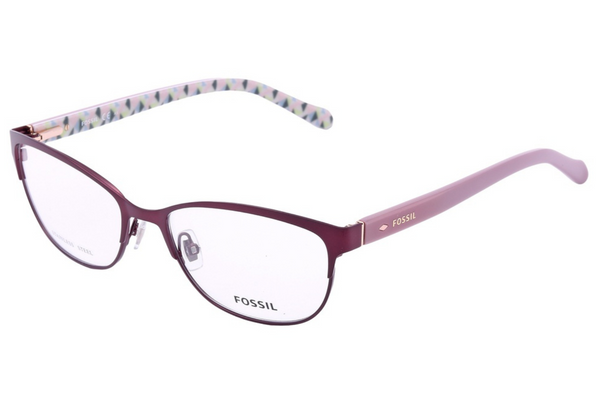 Fossil Frame FOS 6041