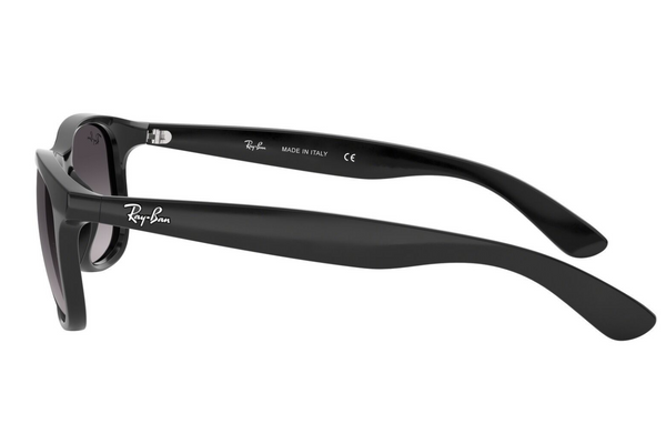 Ray-Ban 0RB4202