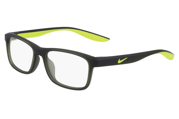 Nike Frame NK5041 302