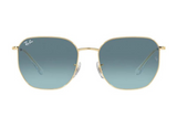 Ray-Ban RB3695