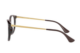 Vogue Frame VO 5321