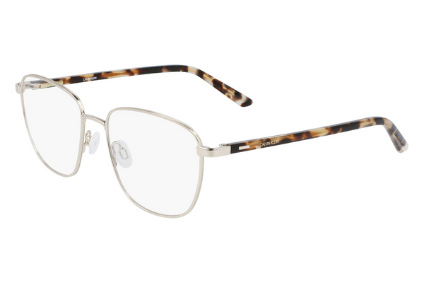 Calvin Klein Frame CK21300