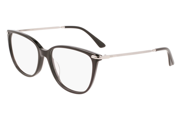 Calvin Klein Frame CK22500