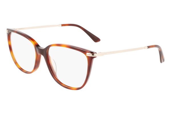 Calvin Klein Frame CK22500